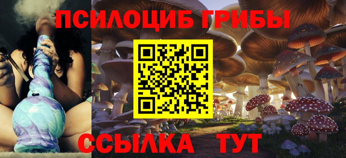 Галлюциногенные грибы мицелий Родники