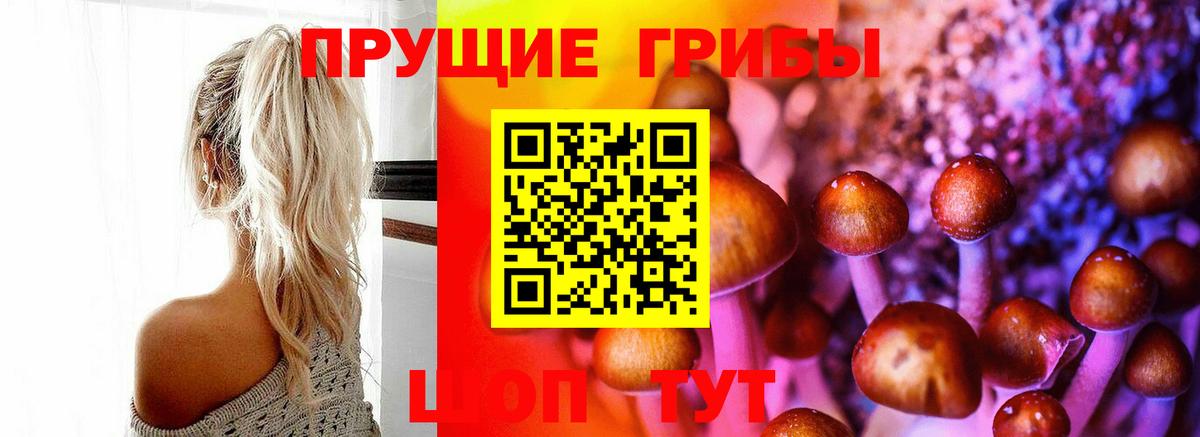 Псилоцибиновые грибы мухоморы  Галлюциногенные грибы Psilocybine cubensis  Родники  Вход с VPN 
